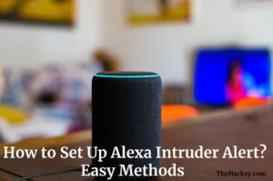 Alexa Intruder Alert