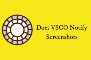 Does VSCO Notify When Someone Takes A Screenshot