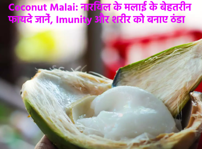 Coconut Malai
